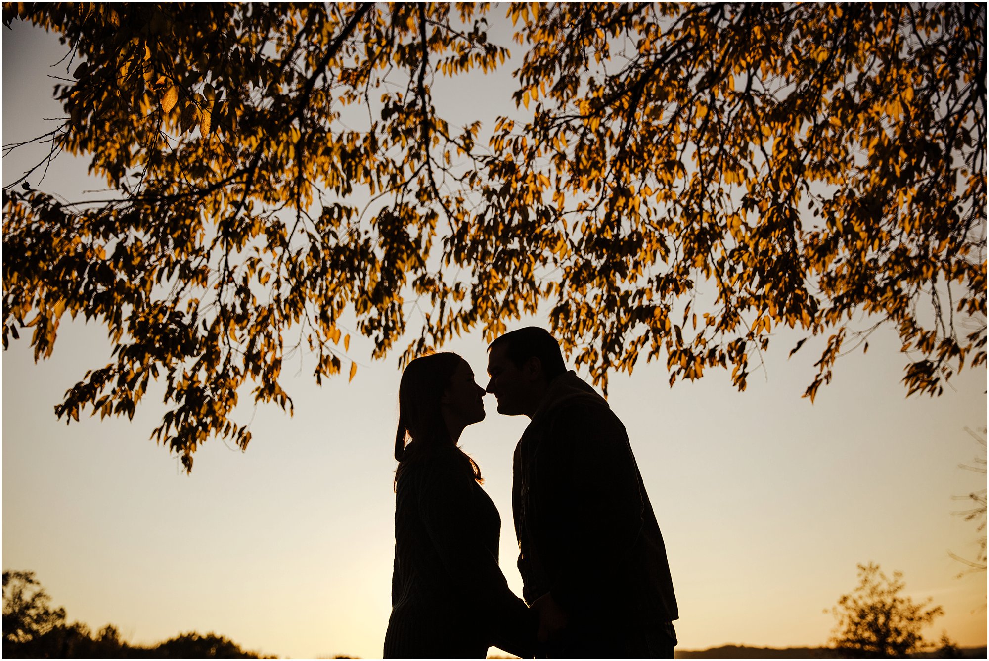 Silhouetted couple going in for a kiss under an orange autumn tree in Arrington