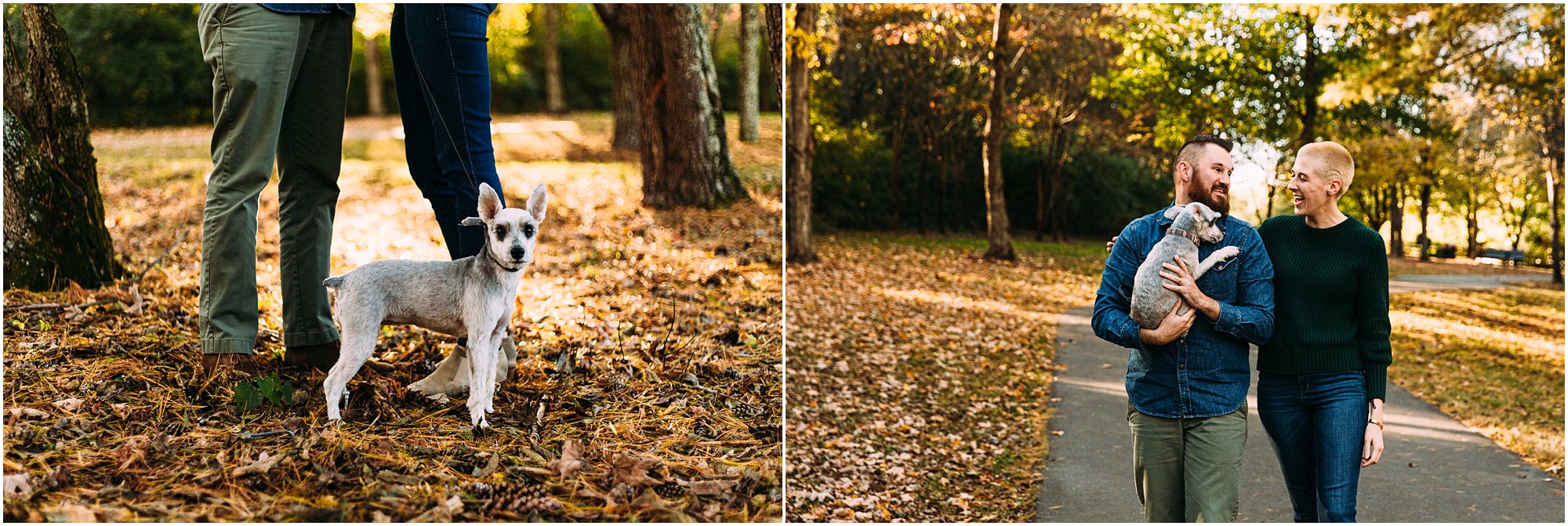 Cute grey dog standing beside her parents feet in a field of fall leaves