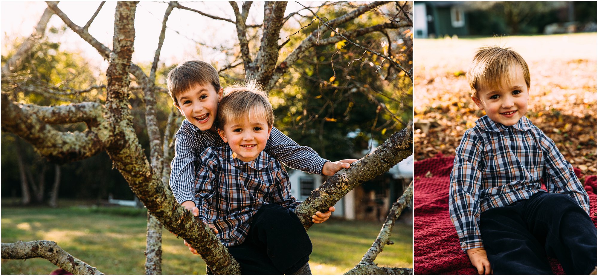 Young brothers climbing trees in Chattanooga park