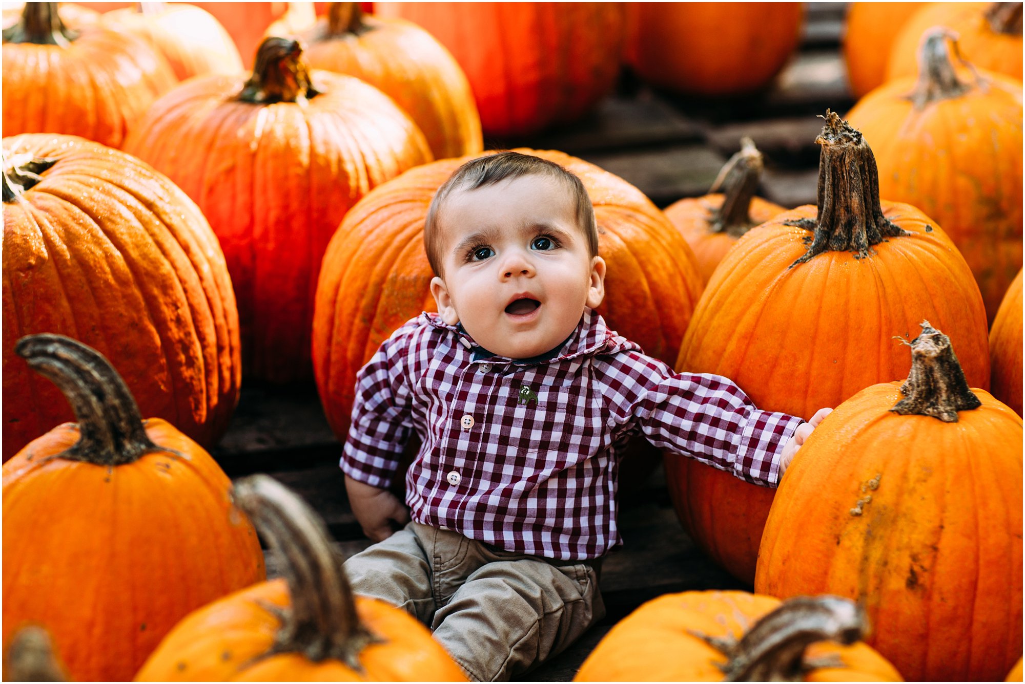 Cute little boy sitting in a pumpkin patch surrounded by orange pumpkins